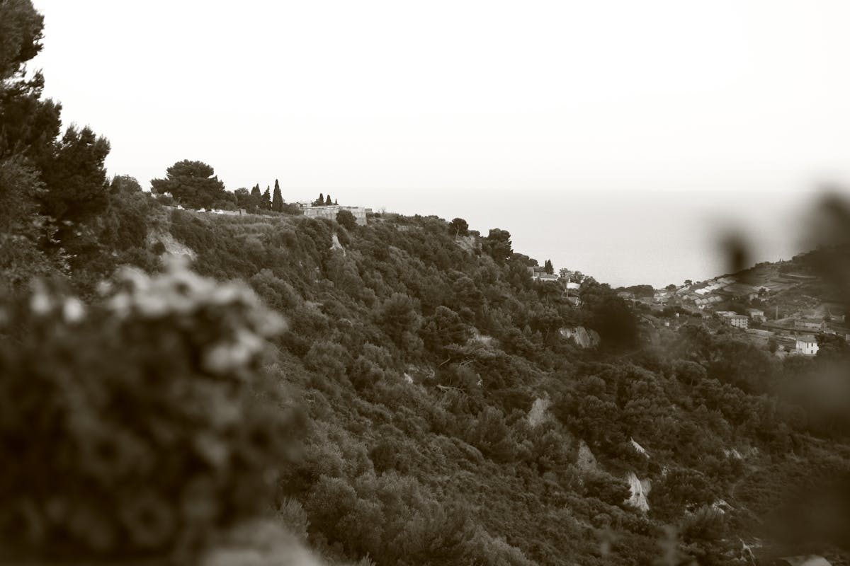 Tesla Model Y 2026: полный обзор — лучший электрический кроссовер